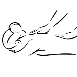 خدمات المساج الليمفاوي